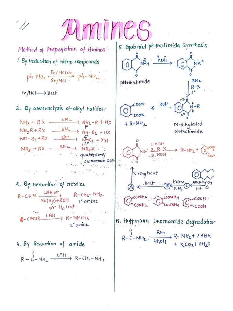 Amines Important Questions With Ans | PDF