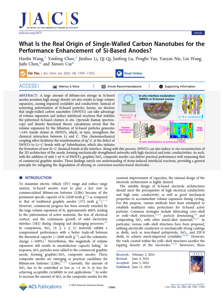 2024 Wang What Is The Real Origin of Single Walled Carbon Nanotubes For ...