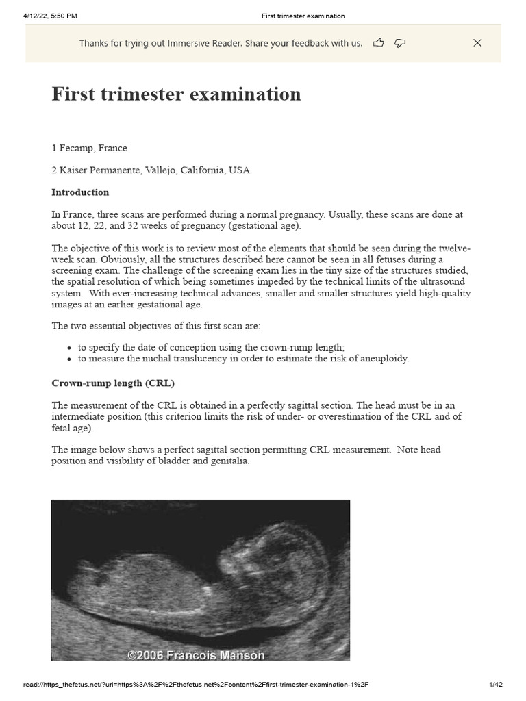 First Trimester Examination | PDF | Aorta | Liver