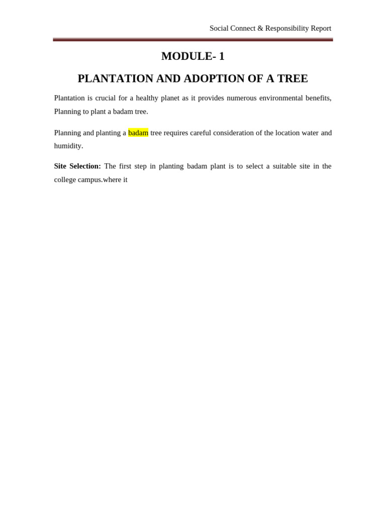 SCR_Report_Template | PDF | Waste | Waste Management