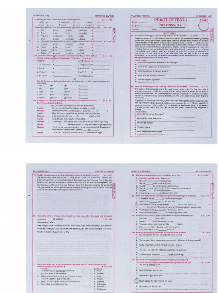 JR English Practice Test - 1 | PDF