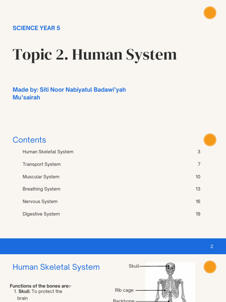 (Y5) Topic 2 - Human System | PDF | Human Body | Muscle