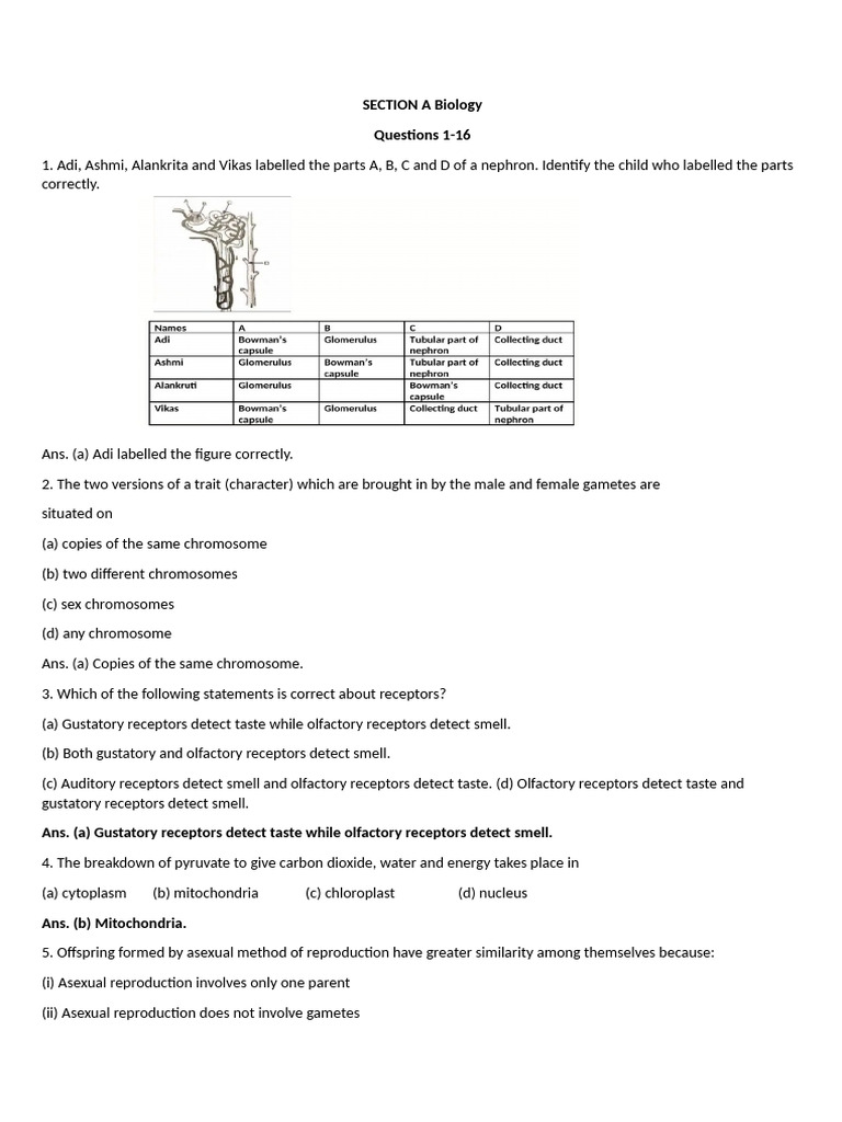 QP 4 Sample Paper With Soln | PDF | Rainbow | Salt (Chemistry)