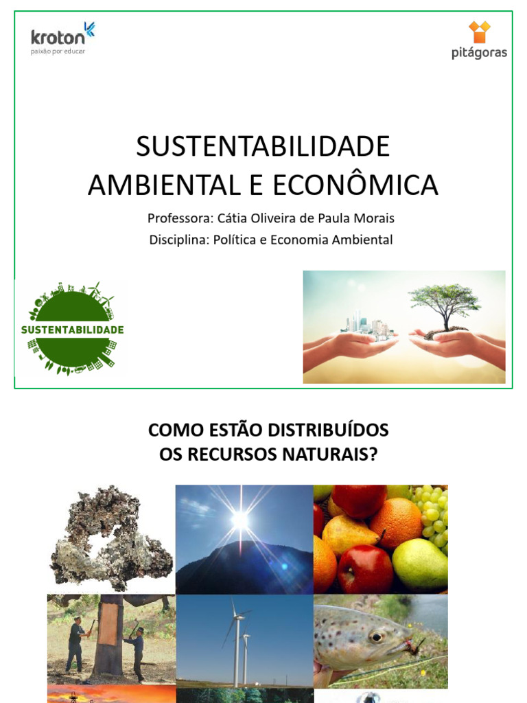 Aula 4 - SUSTENTABILIDADE | PDF | Floresta Amazônica | Brasil