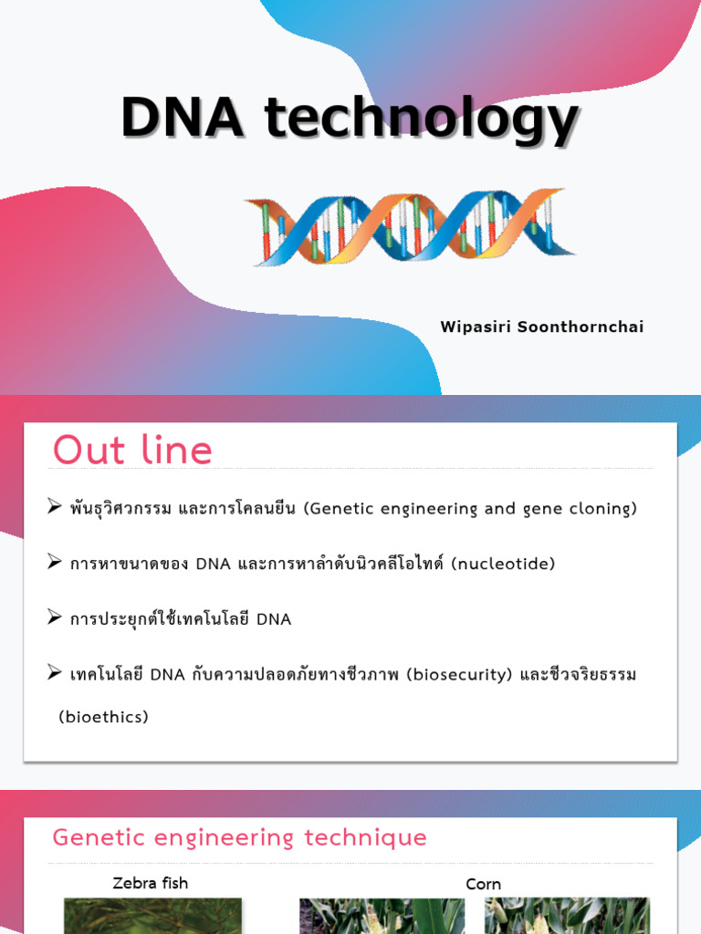 Chepter 6 DNA Technology | PDF