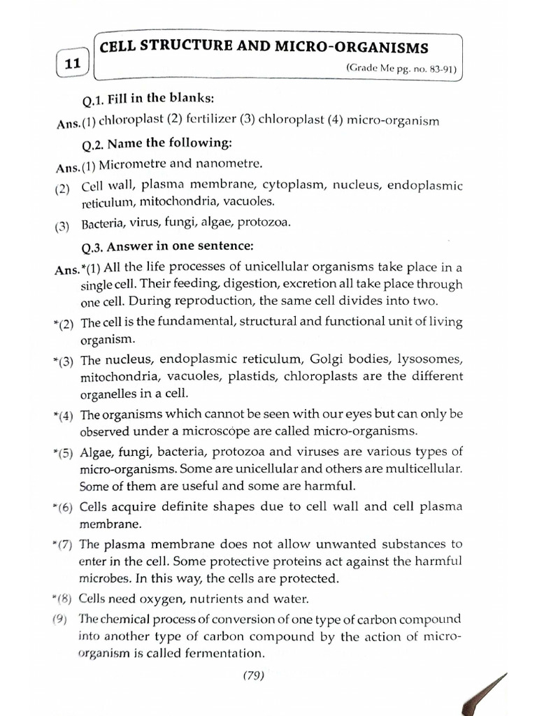 7th std notes Rev 2 | PDF