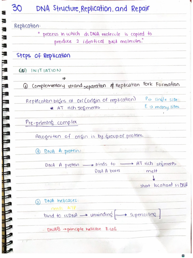 Genetics Notes 30-34 | PDF