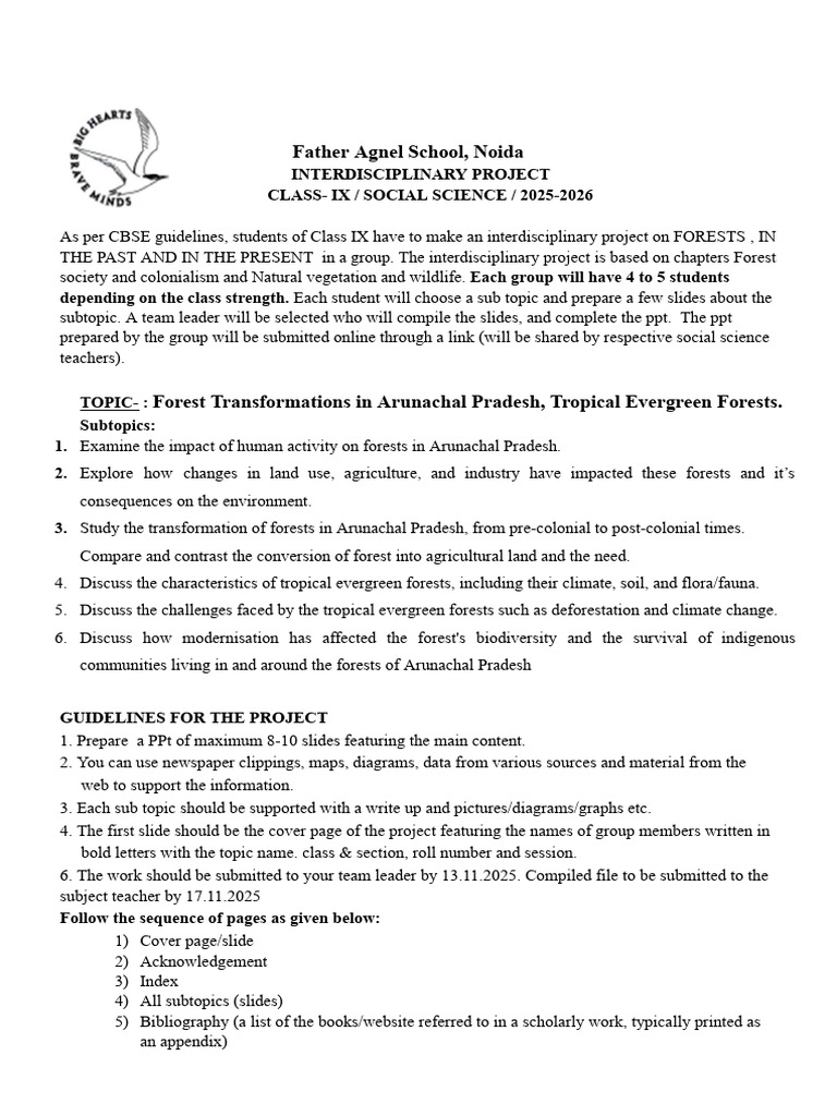 Ix Interdisciplinary Project 2025 26 | PDF | Forests | Natural Sciences