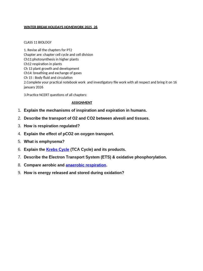 Winter Break Holidays Homework 2025 | PDF