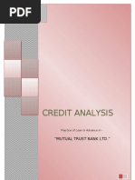 Download INTERNSHIP REPORT in Credit Analysis of Mutual Trust Bank Ltd for Asian University of Bangladeshdhaka by Touhidul Islam SN99120879 doc pdf