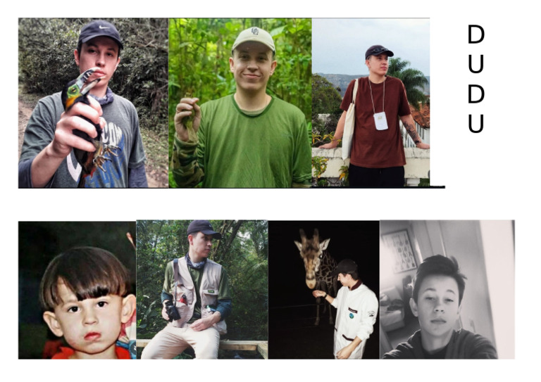 Dudu | PDF