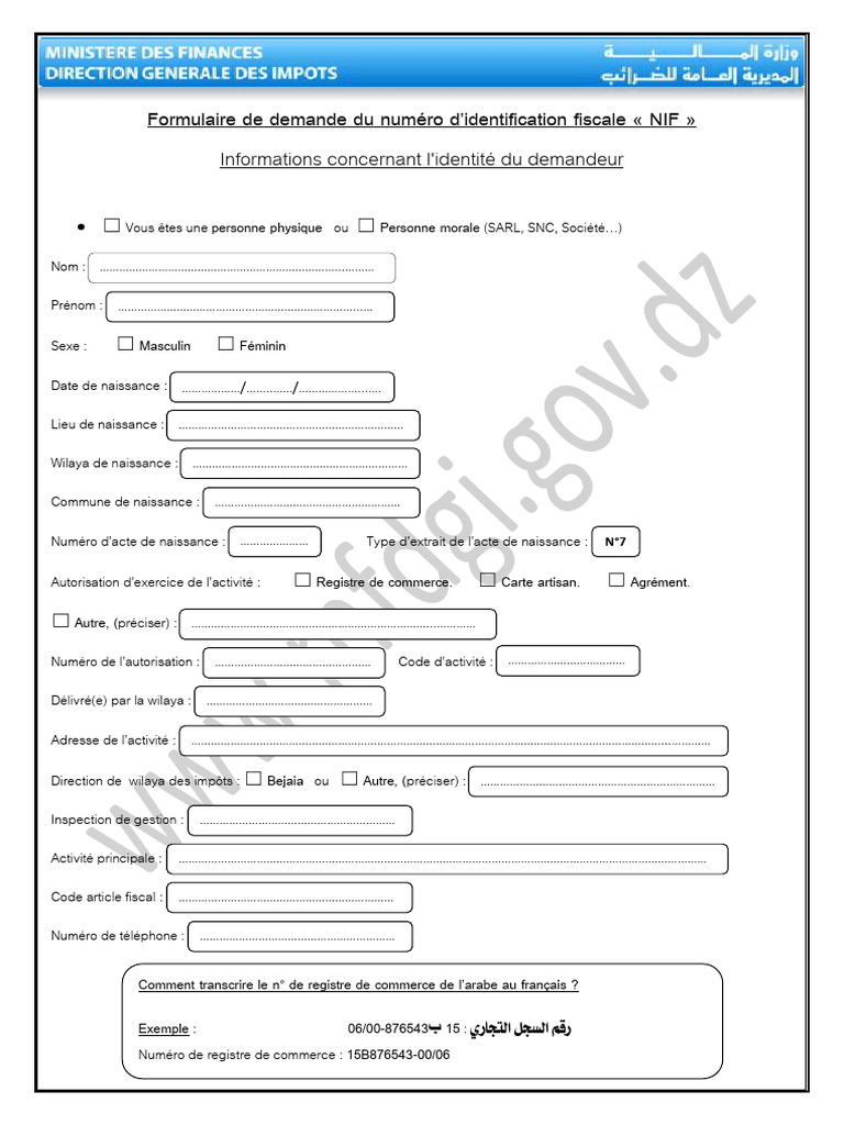 Formulaire de Demande Du Numéro D'identification Fiscale NIF | PDF