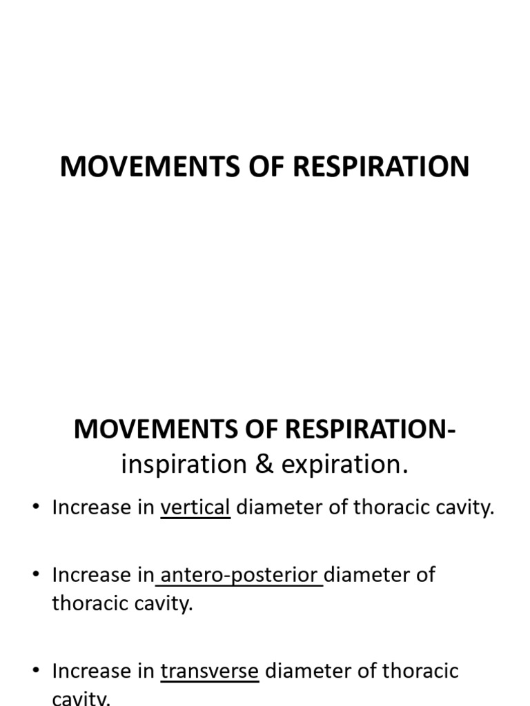 6-Movements of Respiration 2025-26 | PDF | Respiratory System | Primate ...