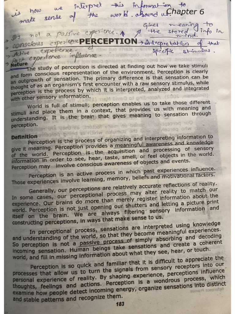 Perception | PDF