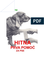 Hitna Prva Pomoc Za Pse