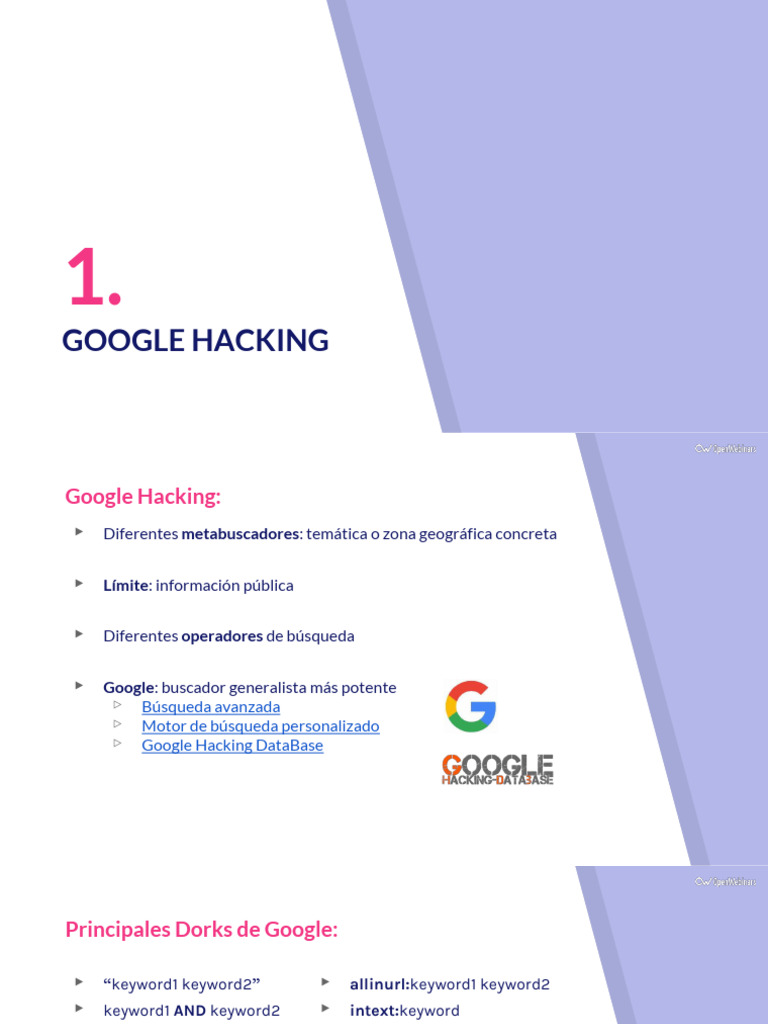 2 1 Google Hacking | PDF