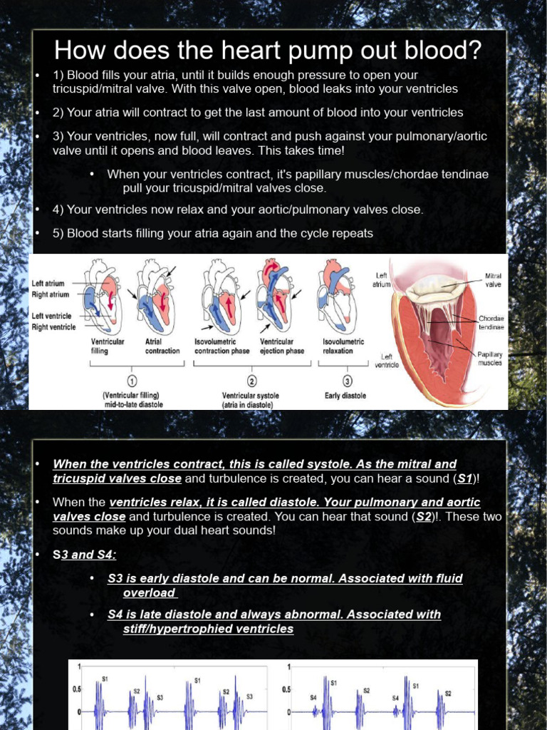6 Cardiology Cardiac Cycle and PV Loops | PDF | Heart Valve | Diastole