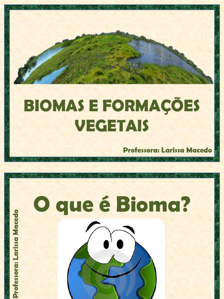 Biomas e Formações Vegetais | PDF | Floresta Amazônica | Florestas