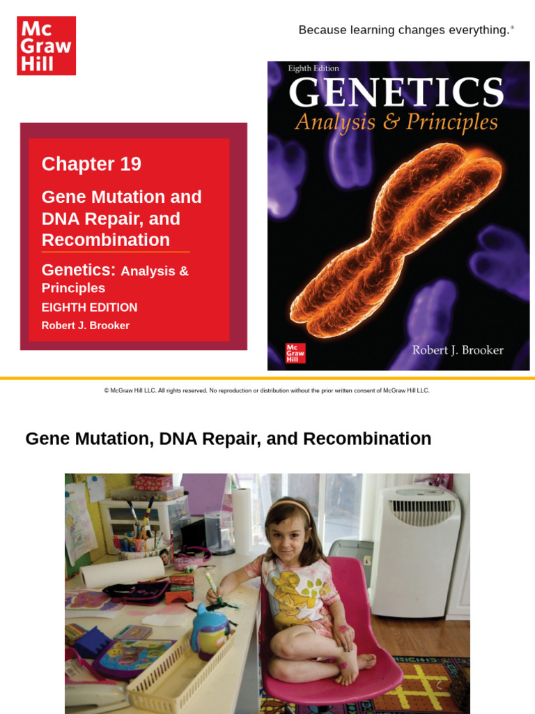 Brooker Genetics 8e Ch19 PPT Accessible | PDF | Genetic Code | Point ...