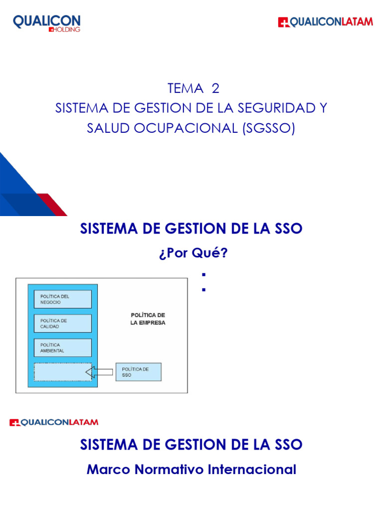 GSSO 1.2 Sistema de Gestion de Seguridad y Salud Ocupacional | PDF