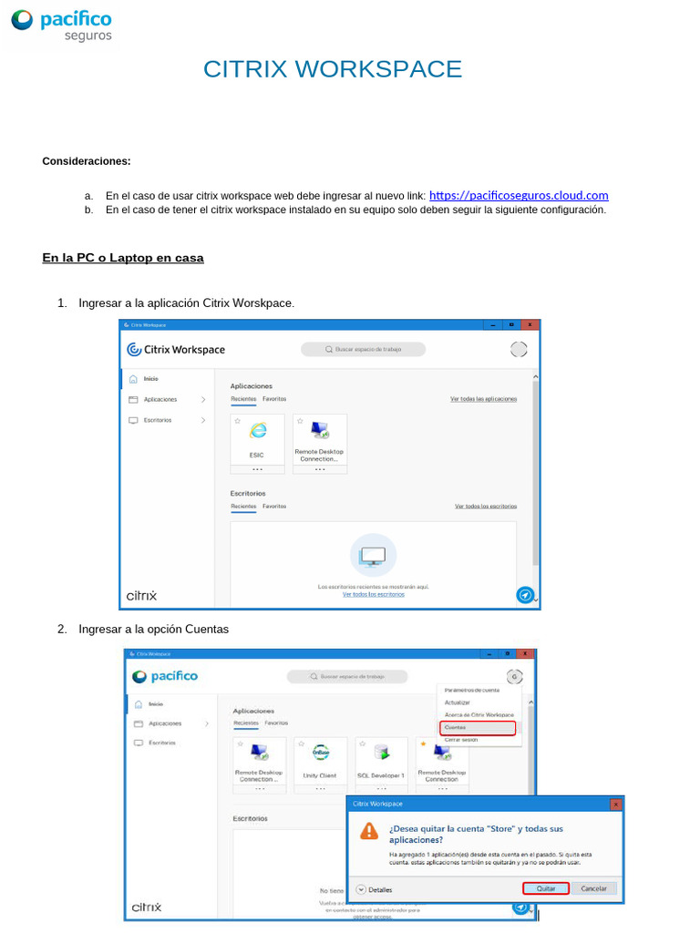 Manual Citrix Workspace - V3a | PDF