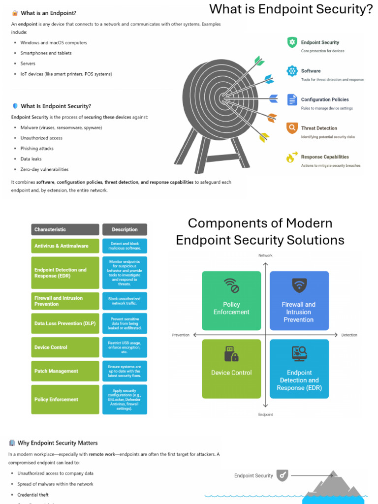 What Is Endpoint Security | PDF