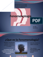 FENOMENOLOGIAA