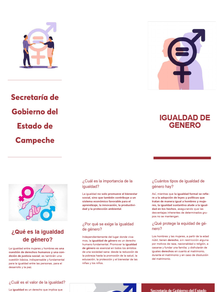 Infografia Igualdad de Genero (1) | PDF | Igualdad de género | Estudios ...