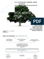 Arbol de Problemas