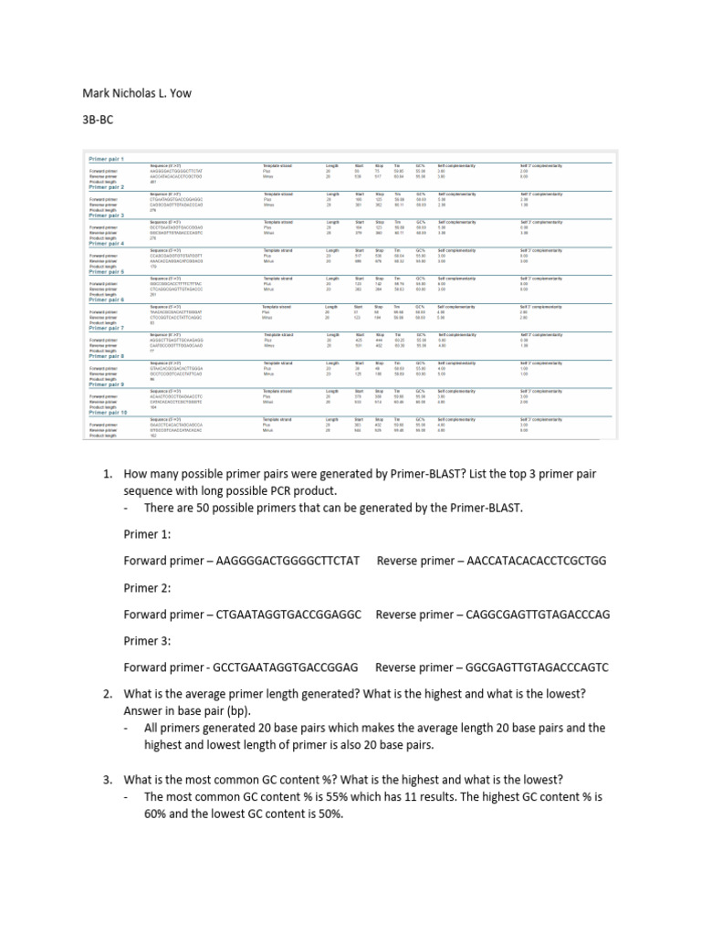 Primer Blast | PDF