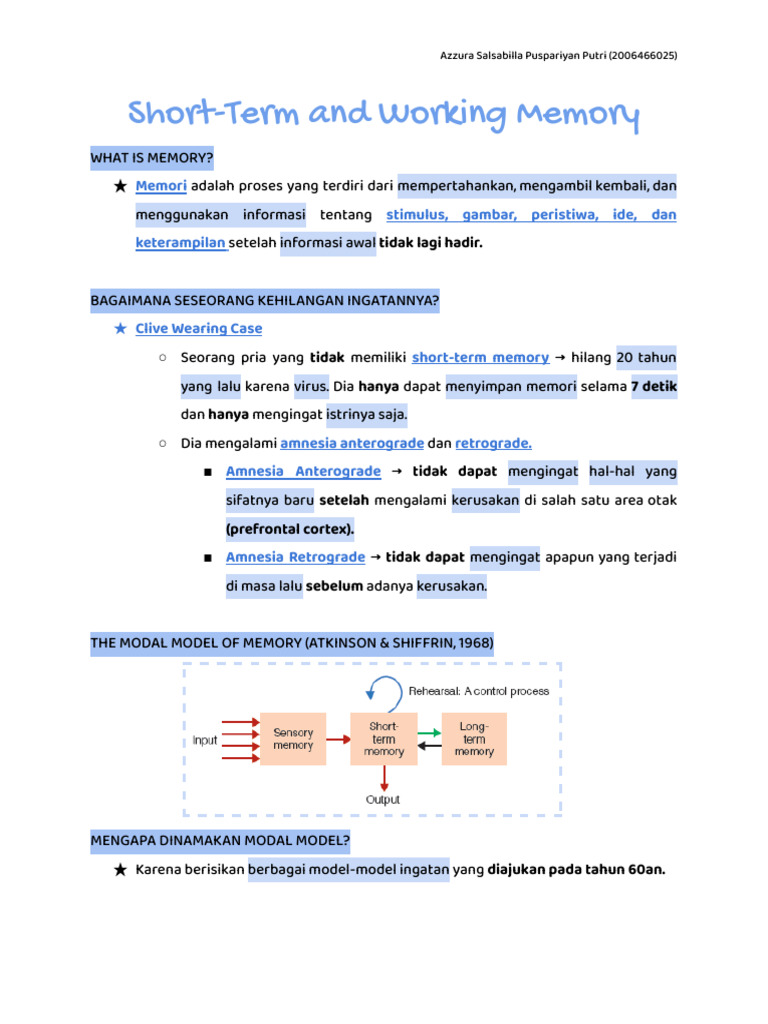 10 - Short-Term and Working Memory | PDF