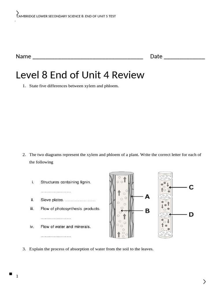 Level 8 End of Unit 4 Review | PDF