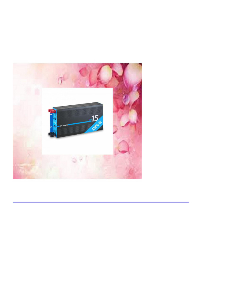 3316 ECTIVE CSI Power Inverter 12 V To 230 V 6 Models 500 W Ã Â Â" 3000