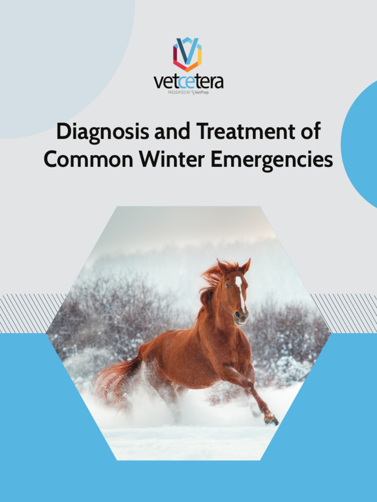 Diagnosis and Treatment of Common Winter Emergencies | PDF ...