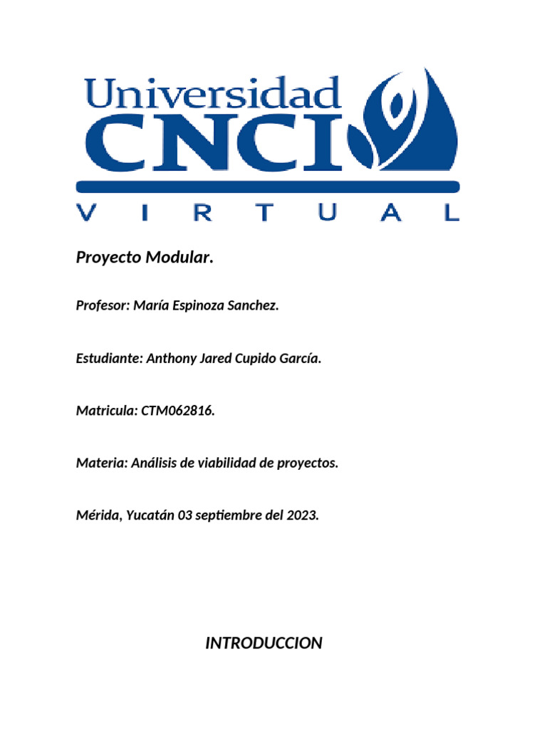 Proyecto Modular Anlisis de Viabilidad de Proyectos | PDF | Economias