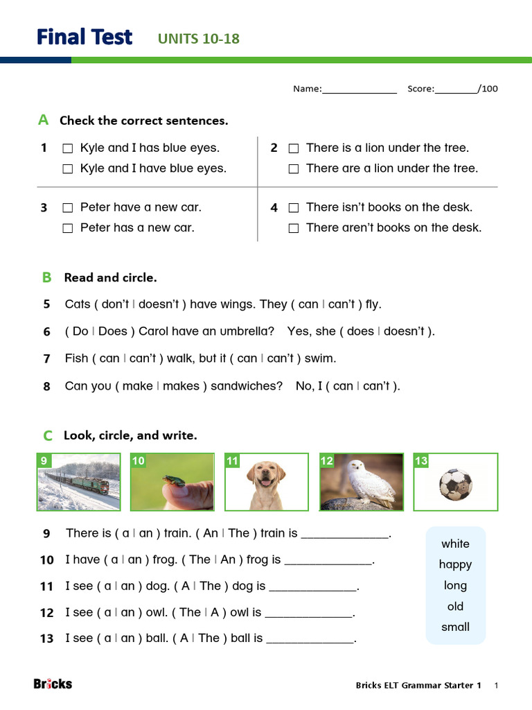 Bricks ELT Grammar Starter L1 Final Test | PDF