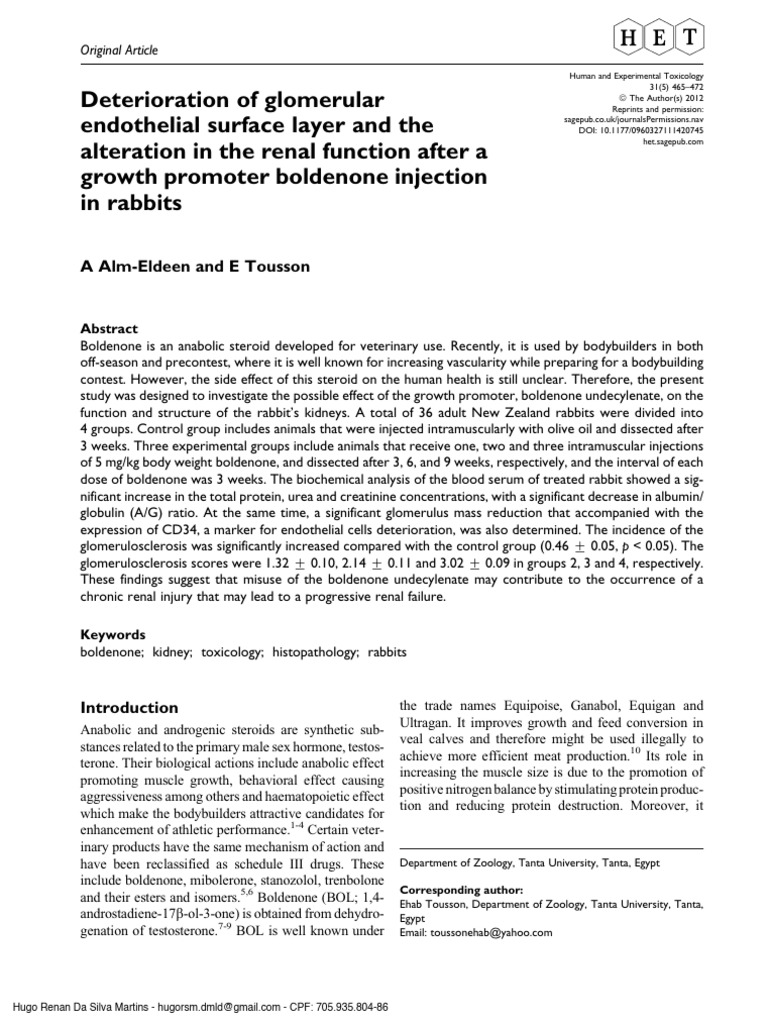 Gallery Detail: I Deterioration Of Glomerular Endothelial Surface Layer And The