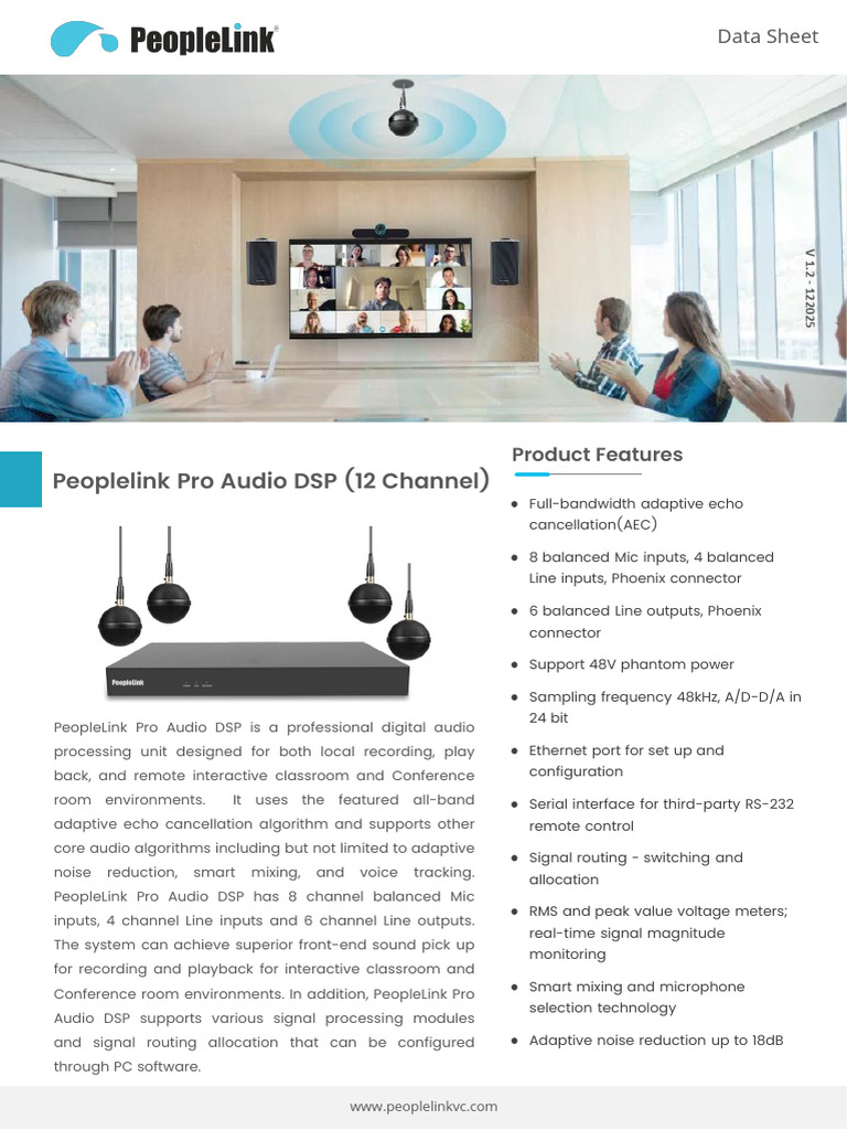Peoplelink Pro Audio DSP 12 Channel | PDF | Microphone | Digital Signal ...