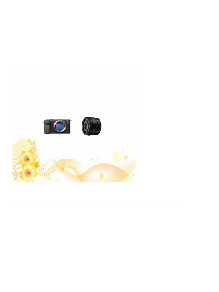 4248 Sony Alpha 7C II Mirrorless Full Frame Camera With SEL24F28G ...