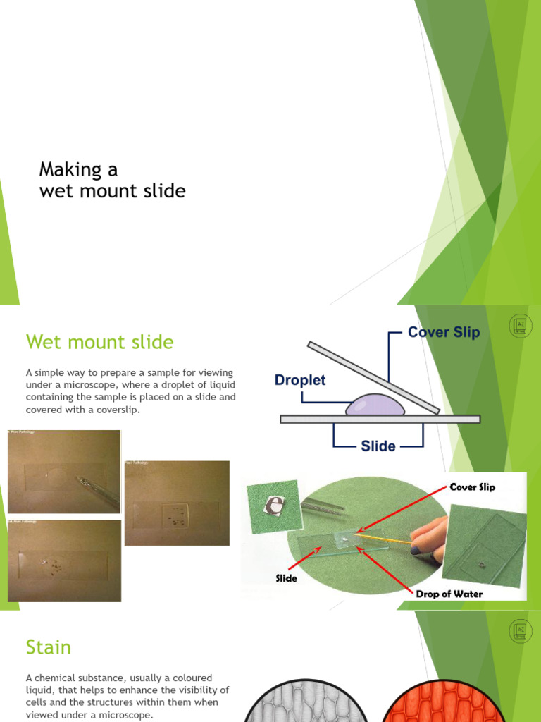Wet Mount | PDF