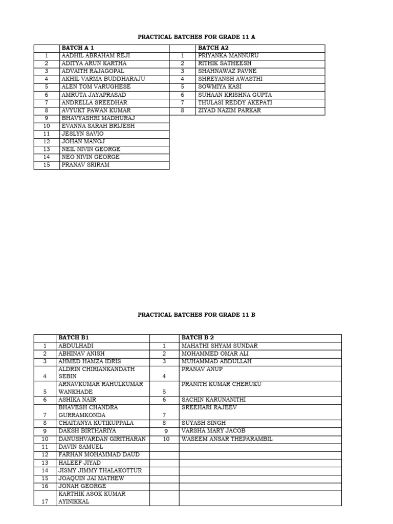 Grade 11 Practical Examination Batch | PDF