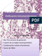 Osificación Intramembranosa