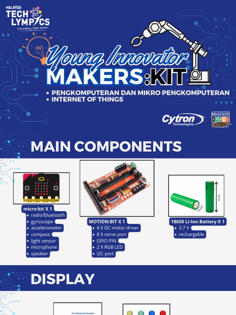 Young Innovator | PDF