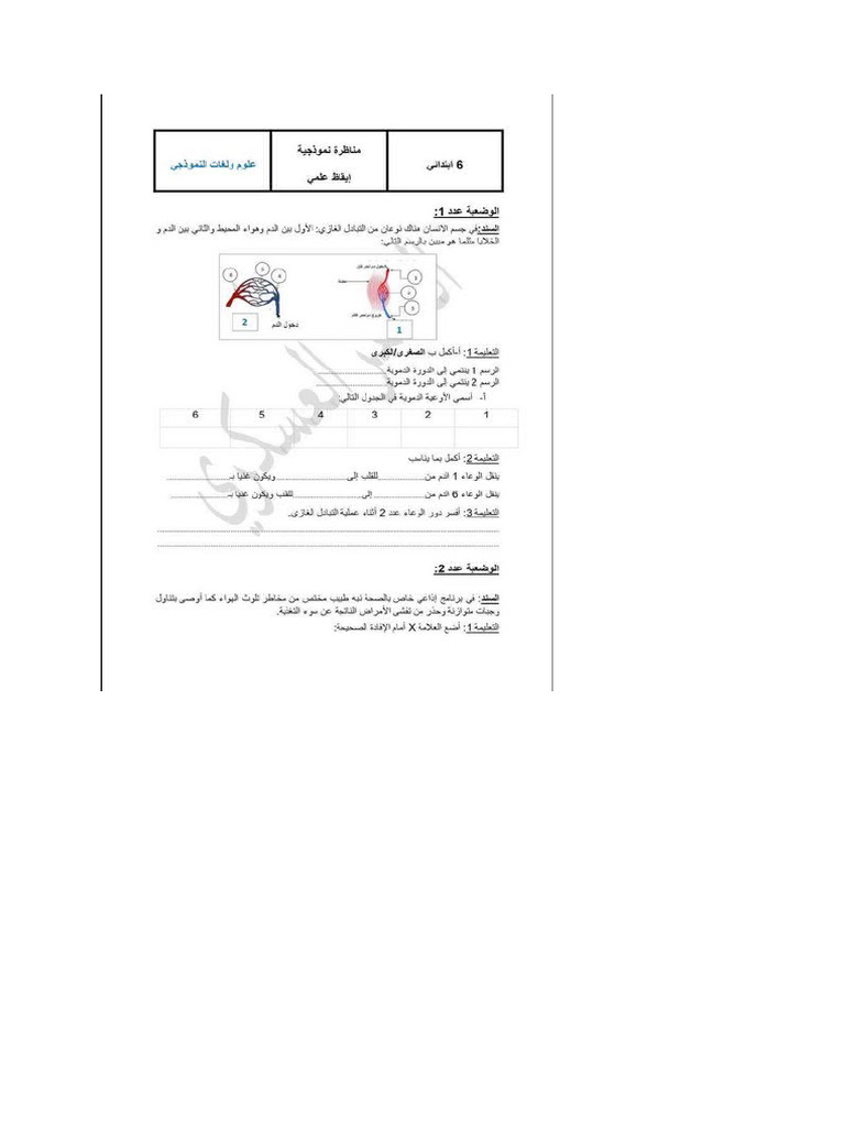 Sciences | PDF