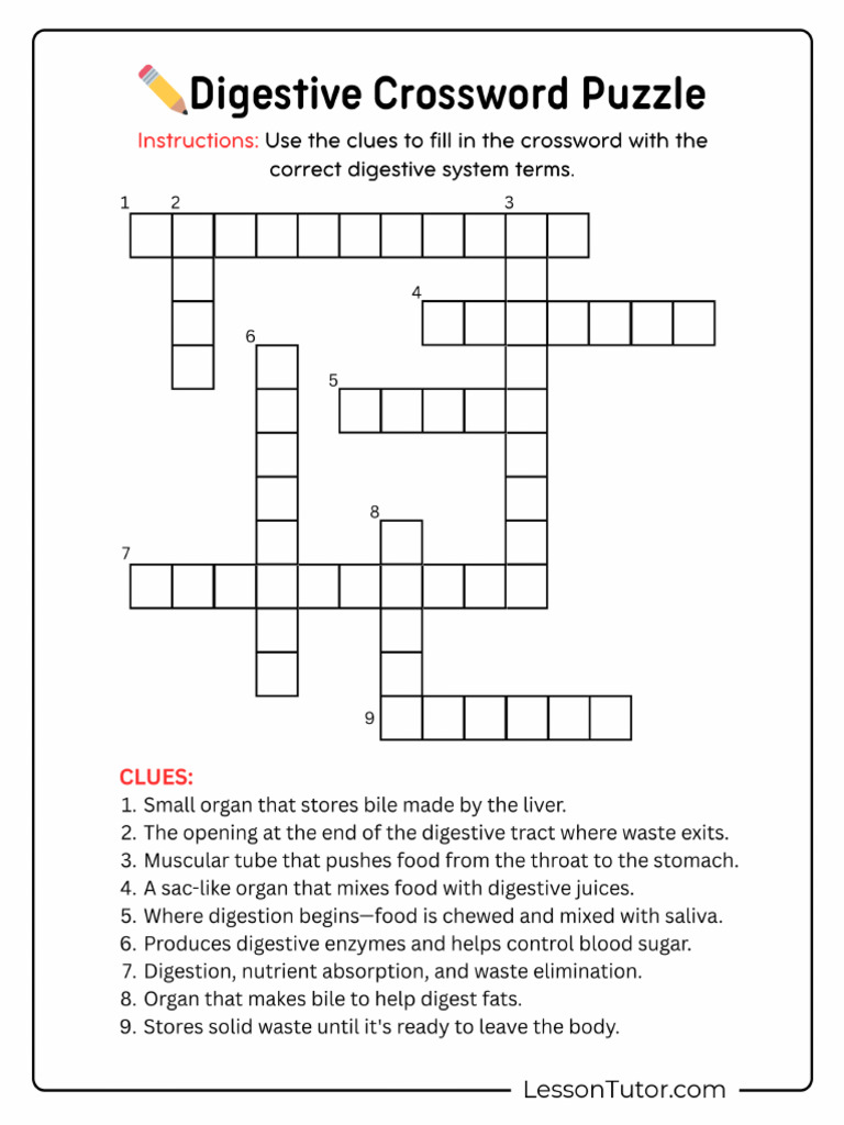 Worksheets Science Digestive System Digestive Crossword Puzzle | PDF