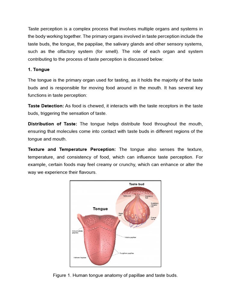 1.2 Organs Involved in Taste Perception | PDF | Taste | Senses