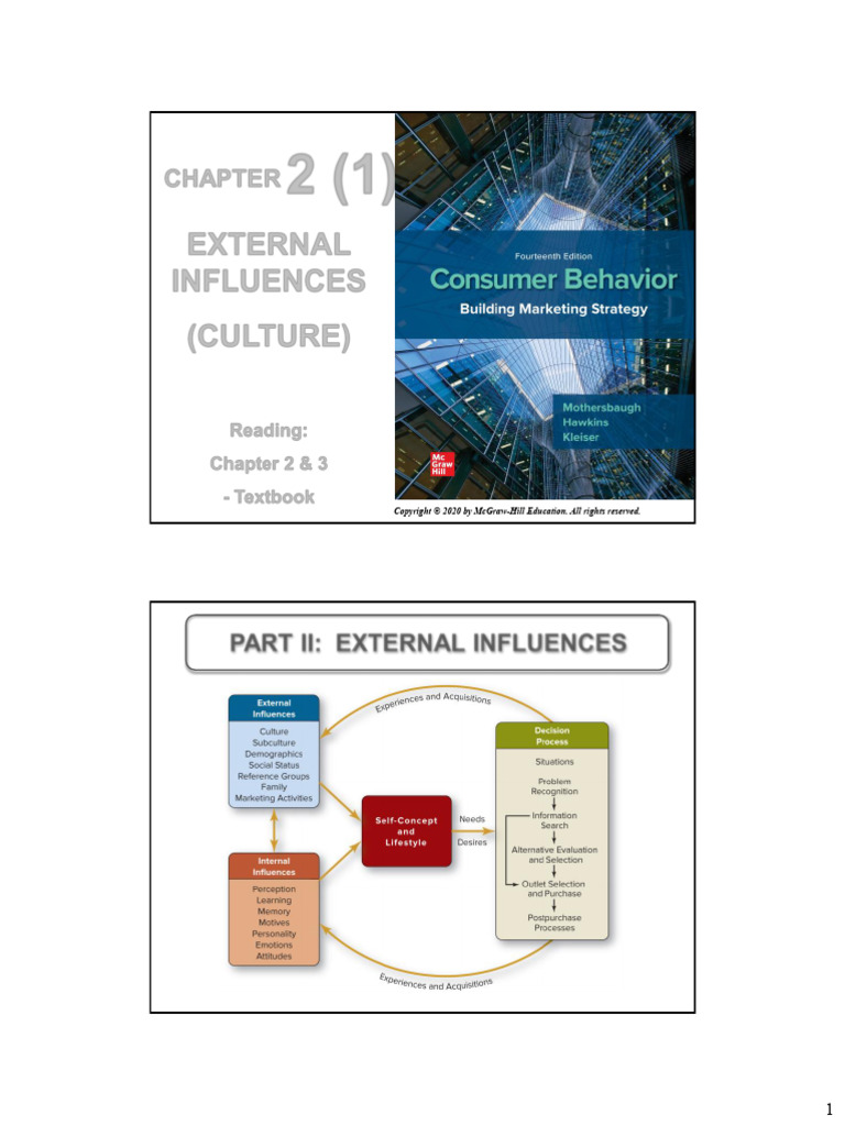 Chapter 2 (1) - External Influences (Culture) | PDF | Value (Ethics ...