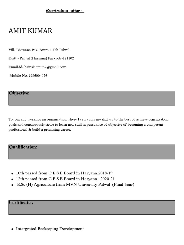 AMIT KUMAR - Doc - 20250721 - 154355 - 0000 | PDF