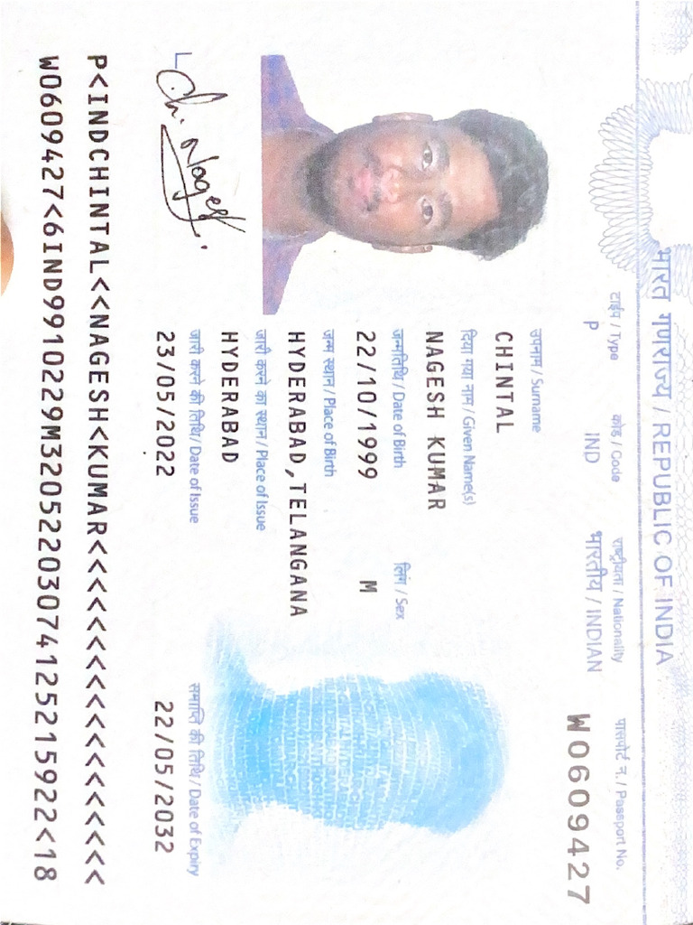 Passport | PDF