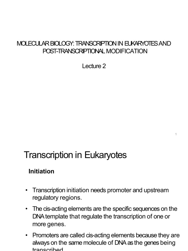 Mol Biol - 2025 - 2026 - Lect2 - Slides | PDF | Messenger Rna | Rna ...